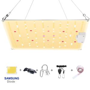 LED 성장 조명 삼성 다이오드 풀 스펙트럼 무소음 양자 보드, 실내 온실 텐트 수경 식물에 사용, 600W, 800W