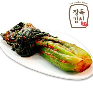 [장독 갓김치] 톡 쏘는 알싸함이 입 안 가득 HACCP 1kg 부터