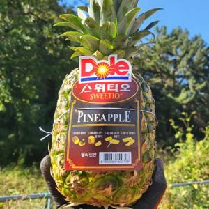 [마이달당] Dole 파인애플 1수 1.2~1.4kg 내외