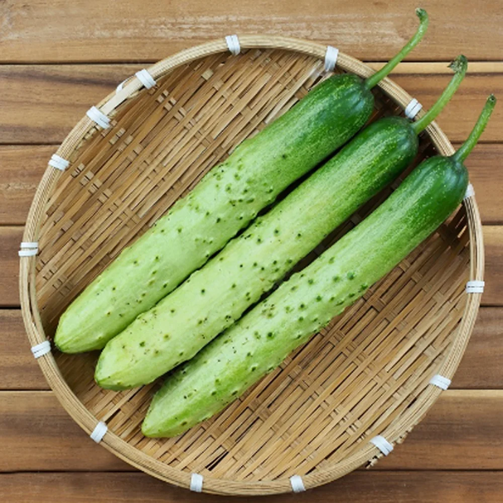 국내산 아삭아삭 오이  (상) 3kg 외 백다다기 오이