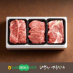 [농협영주한우]실속 가족 3종 구이세트1호 등심/안심/채끝 / 1.2kg