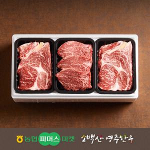 농협영주한우 구이세트7호 (등심x2안심)  1.5kg