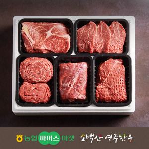 농협영주한우정성드림 실속 정육혼합세트1호 2.5kg