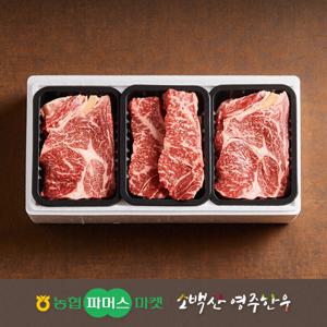 농협영주한우 구이세트8호 (등심x2채끝)  1.5kg