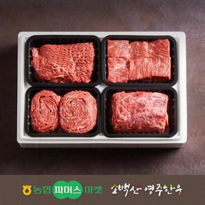 농협영주한우정성드림 실속 정육혼합세트5호  2.0kg