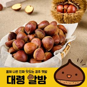 24년 공주 정안 햇밤 대령 알밤 대/특 1kg 2kg 3kg 4kg