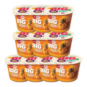 햇반컵반 BIG치즈닭갈비덮밥 313g x 10팩