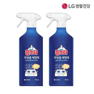 [내일도착] 홈스타 주방용 세정제 750ml 2개