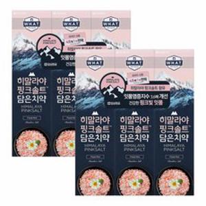 히말라야핑크솔트 담은치약 플로랄 민트, 6개, 100g