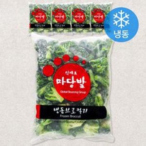 식재료마당발 중국산 브로컬리 (냉동), 1kg, 5개