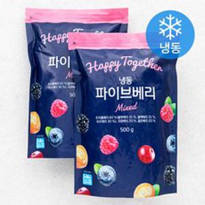 파이브베리 (냉동), 500g, 2개