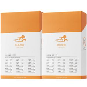 프로젝트21 하루채움 고양이 간식 종합영양제 12g 15p, 2개, 피부/피모, 닭맛