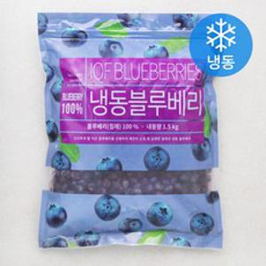 딜라잇가든 칠레산 블루베리 (냉동), 1.5kg, 1개