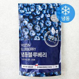 네츄럴웨이 칠레산 블루베리 (냉동), 1개, 1kg