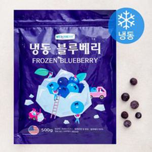 웰프레쉬 미국산 블루베리 (냉동), 500g, 1개