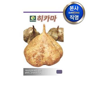 히카마 (얌빈) 씨앗 10g . 원예 야채 채소 텃밭 멕시코 맥시코 감자 씨 종자