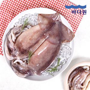 [바다원] 손질통오징어 400g x 2팩 (총800g 4마리)