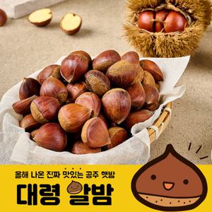 24년 공주 정안 햇밤 대령 알밤 2kg 대