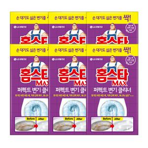 홈스타 맥스 퍼펙트 변기 클리너 x 6개