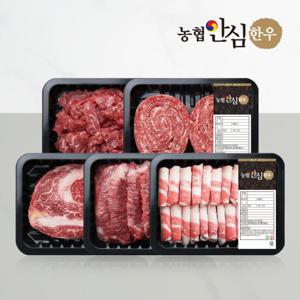 [농협안심한우] 1등급 한우 소 한마리 세트 1kg (5가지 모듬)