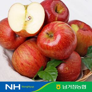 아삭달콤한 거창 꿀사과 못난이사과 5kg(대과)14-16과 내외