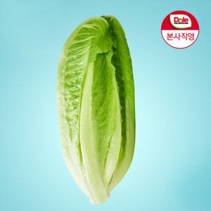 [Dole 본사직영] 알뜰형 로메인 1kg