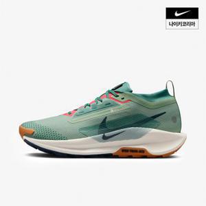 맨즈 나이키 페가수스 트레일 5 GORE-TEX NIKE FQ0908-300