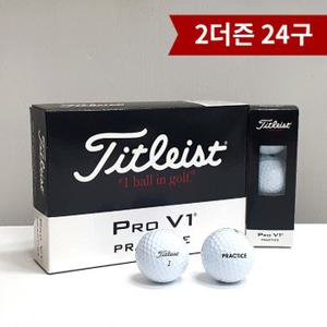 타이틀리스트 PRO V1 골프공 2더즌 24구 병행