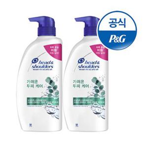 헤드앤숄더 가려운두피 샴푸 850ml 2개