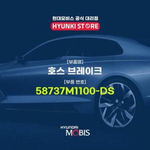 호스 브레이크 (58737M1100-DS)