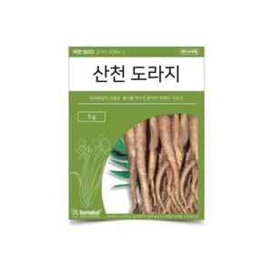 베하몰 텃밭 채소 씨앗 산천 도라지 X ( 2매입 )