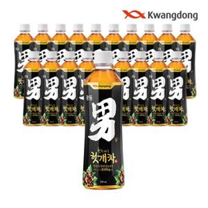 광동 힘찬하루헛개차 500mL 20펫