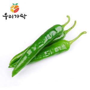 [우리가락]오이맛(아삭이)고추 500g