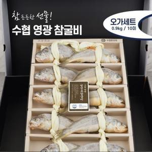 [수협중앙회]참굴비 오가 0.9kg/10미+부직포가방