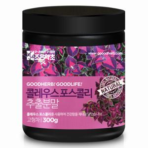 조은약초 프리미엄 콜레우스 포스콜린 추출분말 300g x 1통 (총 300g)