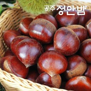 24년 햇 공주 정안밤 알밤 특품 2kg+2kg 왕밤 농가직송