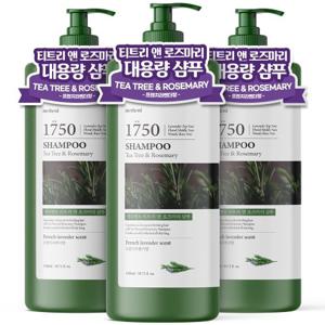 [1+1+1] 메르헨트 티트리 로즈마리 대용량 샴푸 1500ml x 3개 약산성 퍼퓸 향기좋은 미용실 남자 여자