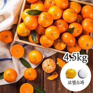 [감동 귤]제주 감귤 4.5kg 로열소과