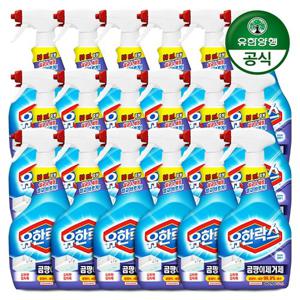 [유한양행] 유한락스 곰팡이제거제 650ml+650ml x 10개