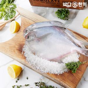 바다애한끼 손질병어 300g (2미) 6팩