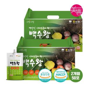 하루야채 100가지 곡물 채소 뿌리채소 과일 야채수 백수왕 100ml 2박스 (50개입)