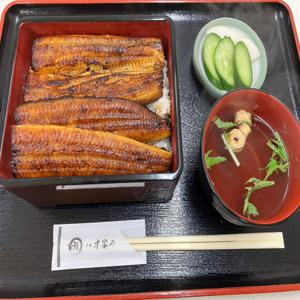 오사카부 야오/가시와라 | Unagi Saitaniya(鰻 才谷や 八尾店)| 좌석 예약 전용