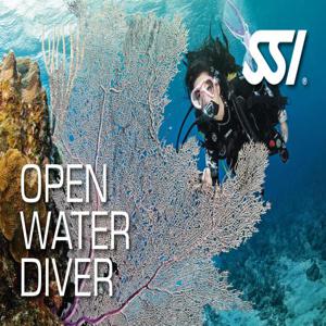 그린 아일랜드 다이빙 │ 주니어 스쿠버 다이버 자격증 코스 OpenWaterDiver │ 다이빙하기