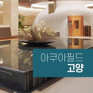 아쿠아필드 고양 찜질스파 (~09/30)