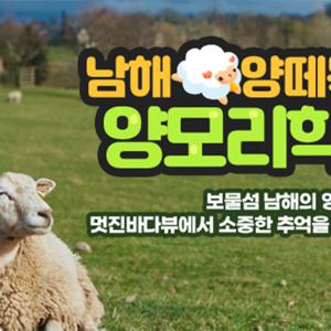 [경상] 남해양떼목장 양모리학교 이용권(~24.10.31)