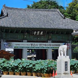 [한국어/영어] 봉은사 템플투어 사찰안내 (Temple Tour in Korean/Eng)