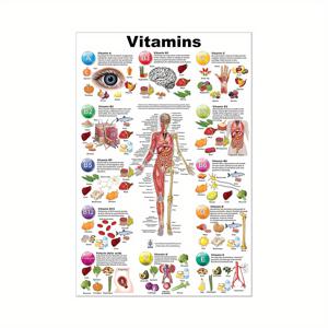 TEMU 교육용 비타민 & 해부학 캔버스 아트 프린트 - 액자 없는 현대적인 벽 장식, 침실, 거실, 사무실용 - 과학 애호가를 위한 완벽한 선물