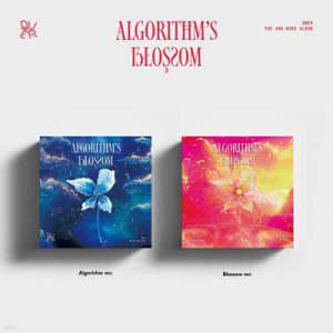 [CD] QWER (큐더블유이알) - 미니앨범 2집 : Algorithm's Blossom [2종 중 1종 랜덤발송] /포토북 + 엽서세트 (5종) + CD-R 1종 랜덤 + 접지포스터 + ID 카드 1종 랜덤 + ID 포토 1종 랜덤 + 스티커 5종 ...