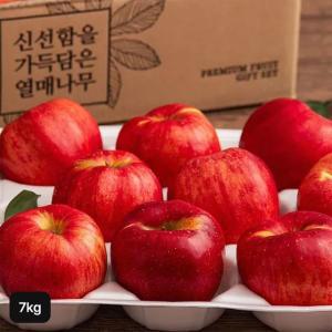 열매나무 햇 못난이 홍로사과 3.5kg+3.5kg (총 7kg)