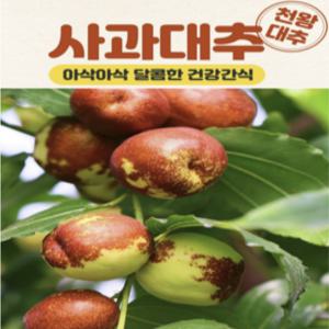 2024년 수확 아삭아삭 달콤한 건강간식 사과대추 2kg